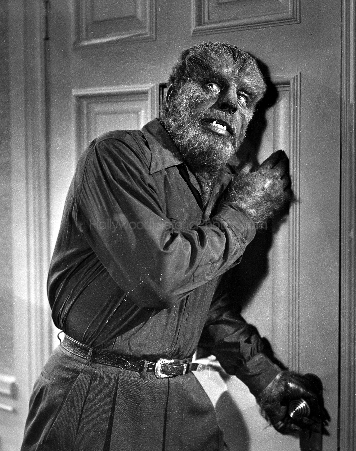 wolfman 48 2.jpg